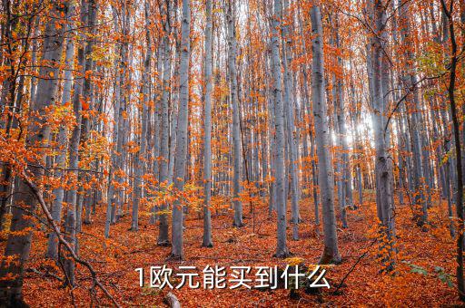 一歐元能買什么，1歐元在倫敦可以買到什么