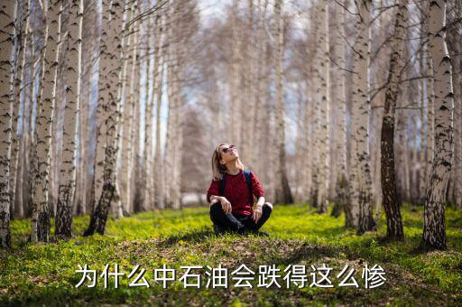 中石油上市為什么狂跌，為什么中石油會跌得這么慘