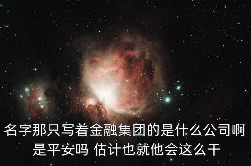 中生金控屬什么企業(yè)，我國(guó)四大金融控股公司是什么