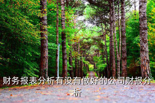 初學(xué)者財務(wù)分析分析什么公司，投資公司財務(wù)分析范文