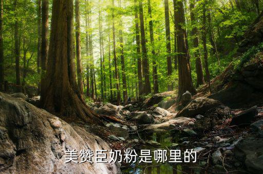 美贊臣所處的產(chǎn)業(yè)是什么，港版美贊臣到底是那里產(chǎn)的