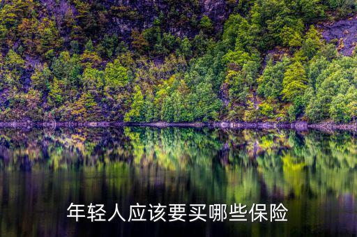 年輕人該買什么保險，年輕人應(yīng)該買什么保險
