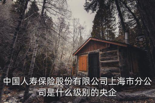 市屬國企是什么級別，省屬和市屬企業(yè)的界定標準是什么