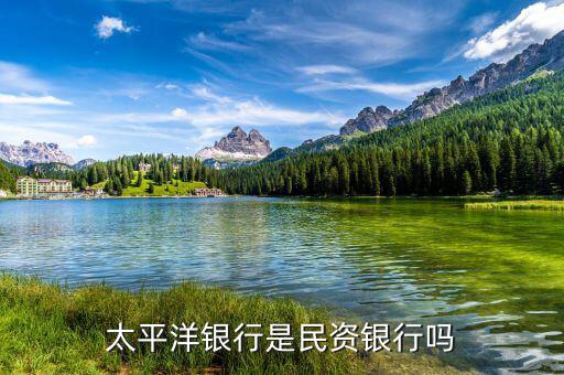 民資為什么銀行，太平洋銀行是民資銀行嗎