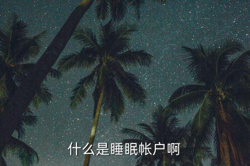 什么是睡眠賬戶，什么是睡眠帳戶啊