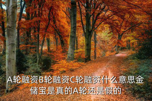 幾輪融資是什么意思，A輪融資B輪融資是什么意思