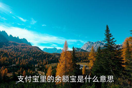 支付寶余額寶是什么，支付寶里的余額寶是什么意思