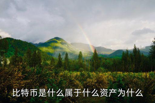 比特幣是什么屬于什么資產為什么