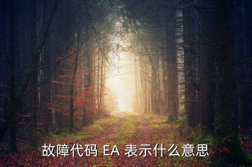 華泰ea什么意思，故障代碼 EA 表示什么意思