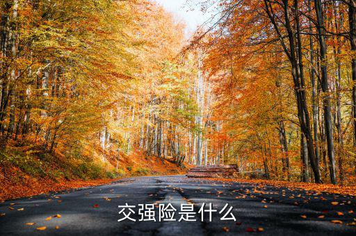 什么是交強(qiáng)險(xiǎn)，交強(qiáng)險(xiǎn)是什么