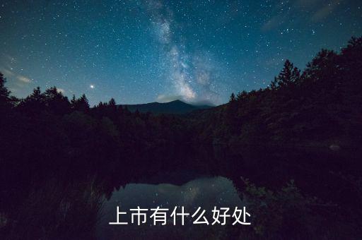 上市有什么好處，上市公司有什么好處