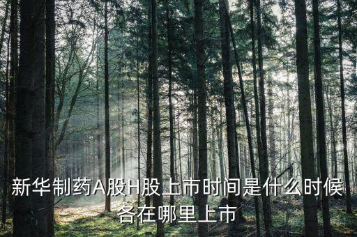 新華醫(yī)藥是什么股票，600587新華醫(yī)療2560買的最后1個(gè)交易日終究解套并小贏了請問接下來
