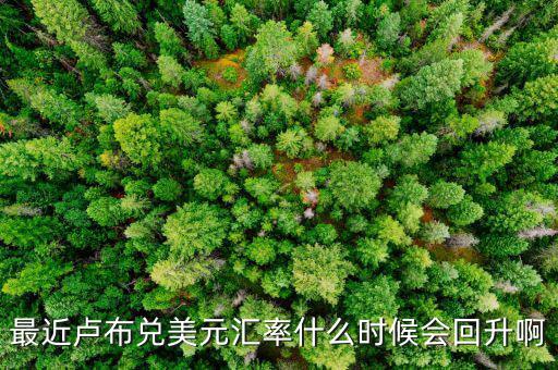 盧布什么時(shí)候能回升，最近盧布兌美元匯率什么時(shí)候會(huì)回升啊