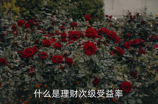 次級(jí)收益是什么，什么是理財(cái)次級(jí)受益率