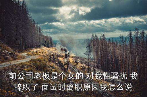 李維金為什么辭職，前公司老板是個(gè)女的 對(duì)我性騷擾 我辭職了 面試時(shí)離職原因我怎么說