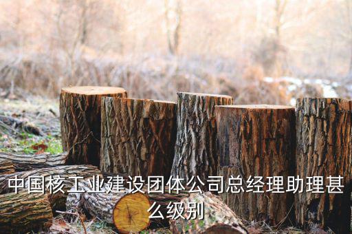 中國(guó)核工業(yè)集團(tuán)什么級(jí)別，中國(guó)核工業(yè)建設(shè)團(tuán)體公司總經(jīng)理助理甚么級(jí)別