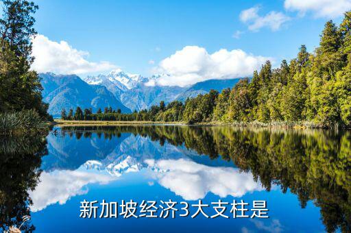 新加坡經濟靠什么，分析新加坡經濟高度發(fā)達的內因和外因