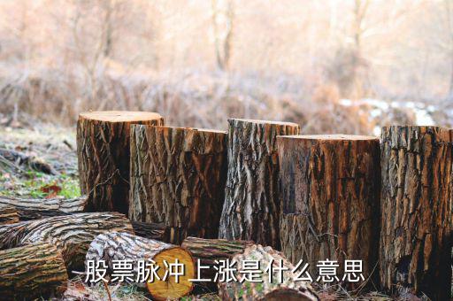 什么是脈沖式上漲，脈沖上升時間什么意思