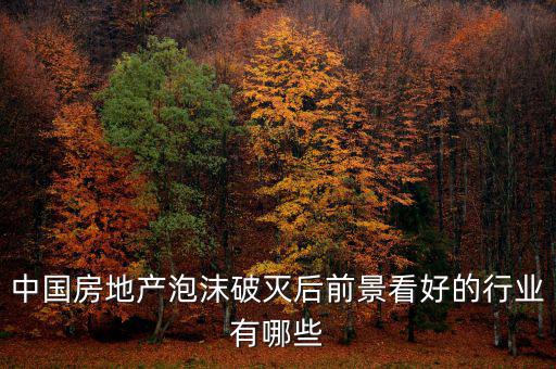 房地產(chǎn)泡沫后什么行業(yè)賺錢，如果真有一天中國房地產(chǎn)泡沫破了我們做點(diǎn)什么賺錢呢或者說有