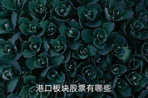 福建有什么港口股票，福建有哪些優(yōu)良的港口