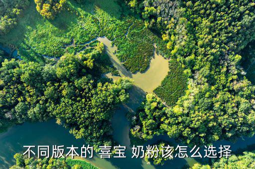 我想買德國(guó)的喜寶奶粉怎么買,德國(guó)喜寶奶粉是有機(jī)奶粉，喜寶!