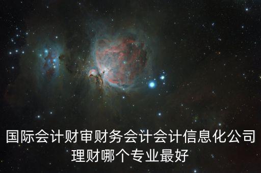 財(cái)審會是什么，國際會計(jì)財(cái)審財(cái)務(wù)會計(jì)會計(jì)信息化公司理財(cái)哪個(gè)專業(yè)最好