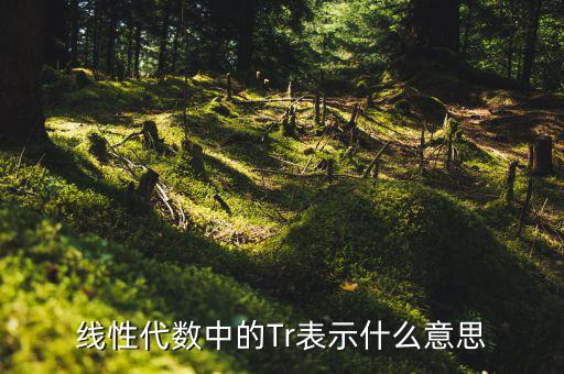 一陽(yáng)穿四線(xiàn)說(shuō)明什么，一陽(yáng)穿四線(xiàn)成交增量的股票會(huì)漲嗎