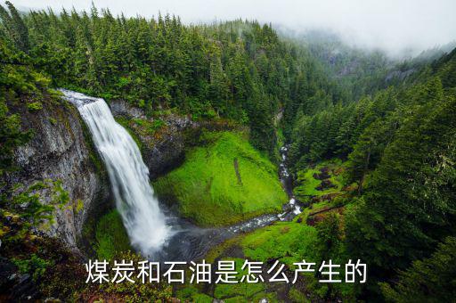 石墨礦怎么形成,石墨最常見于大理石、片巖或砂麻巖中