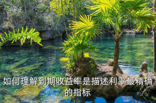 衡量利率最精確的指標(biāo)通常是什么，什么是一個很好的債券利率風(fēng)險衡量指標(biāo)