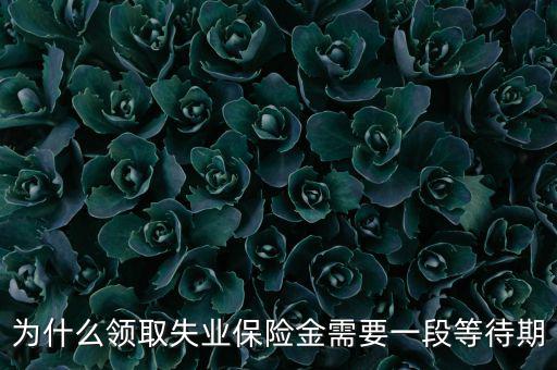 失業(yè)保險(xiǎn)為什么應(yīng)設(shè)等待期限，為什么領(lǐng)取失業(yè)保險(xiǎn)金需要一段等待期