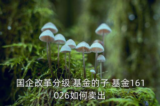 下折后母基金怎么賣(mài),淘寶基金開(kāi)戶后可查詢基金收益表