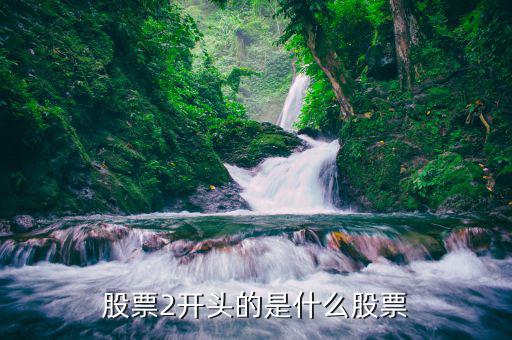 2開(kāi)頭的是什么股票，股票2開(kāi)頭的是什么股票