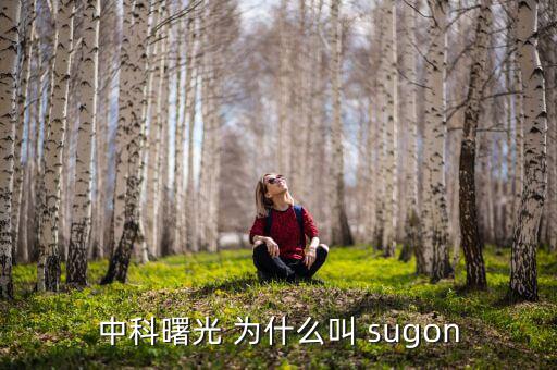 2014中科曙光什么時(shí)候上市的，股票為什么要選中科曙光