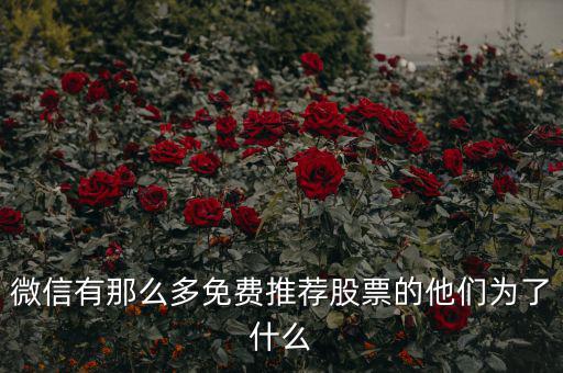 免費(fèi)股票為什么，微信有那么多免費(fèi)推薦股票的他們?yōu)榱耸裁?/></a></span><span id=