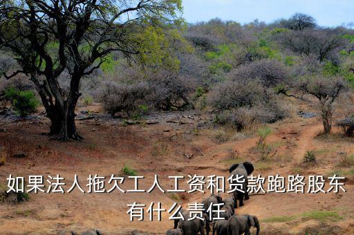 法人跑路屬于什么罪，申請(qǐng)勞動(dòng)仲裁被告用人單位法人代表逃跑了怎么辦他將背負(fù)什么罪