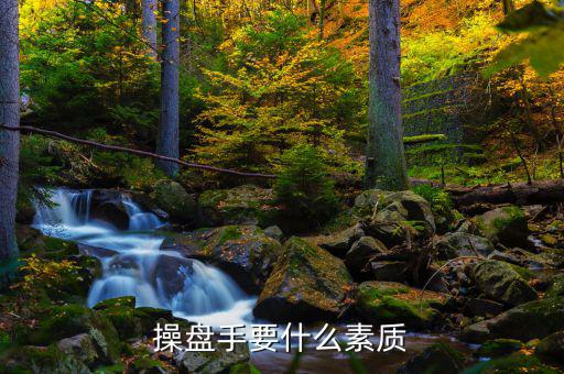 操盤手有什么要求，操盤手要什么素質(zhì)