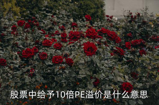 股票10倍市盈率什么意思，買10倍市盈率上下的大盤股什么意思