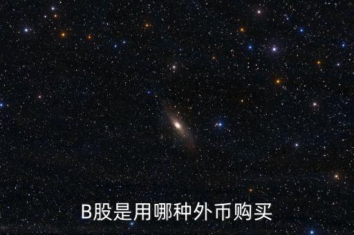 b股分紅支付什么貨幣，B股是用哪種外幣購買