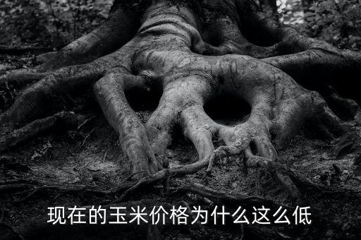 現(xiàn)在為什么糧食價格低，為什么糧食越來越便宜