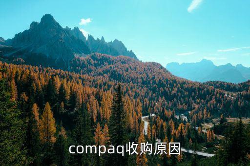泰一指尚為什么被收購(gòu)，compaq收購(gòu)原因