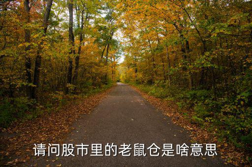 股市老鼠倉什么意思，股票 老鼠倉是什么意思