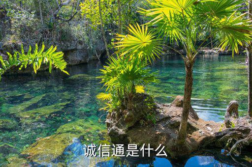 e錢包是什么，Epay 是什么意識