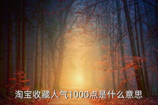 1000點2000點什么意思，加拿大簽證中1000 2000什么意思