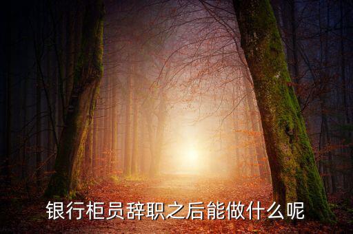 銀行辭職后做什么，銀行柜員辭職之后能做什么呢