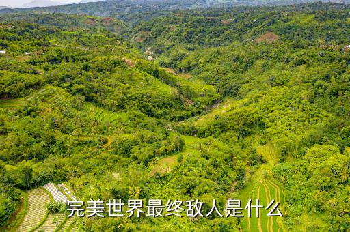 什么是對手盤，完美世界最終敵人是什么