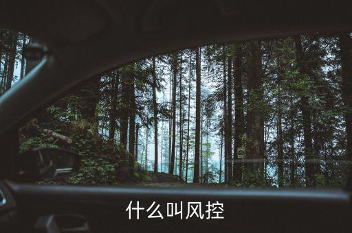 易到風(fēng)控什么意思，什么叫風(fēng)控
