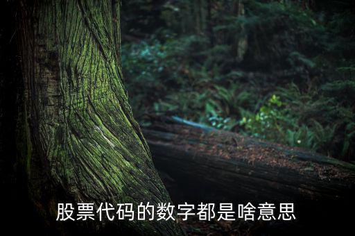 股票名稱(chēng)下面的數(shù)字是什么，請(qǐng)教高手股票名稱(chēng)后面的那些數(shù)字代表什么意思