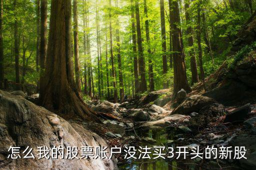 3開頭的股票為什么不能買，請問新開戶的股民為什么不能買3字開頭的股票