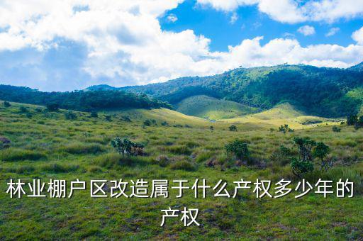 什么是林業(yè)棚戶區(qū)，請(qǐng)問蛟河林業(yè)棚戶區(qū)建造的樓房為什么收取物業(yè)費(fèi)會(huì)和取暖費(fèi)捆綁在一