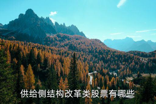 供給側(cè)最利好什么股票，供給側(cè)改革概念股有哪些